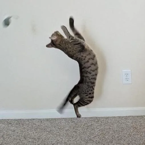 Georgia O'keeffe thumbnail 4