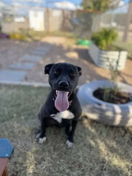 Princess thumbnail 2