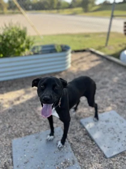 Princess thumbnail 3