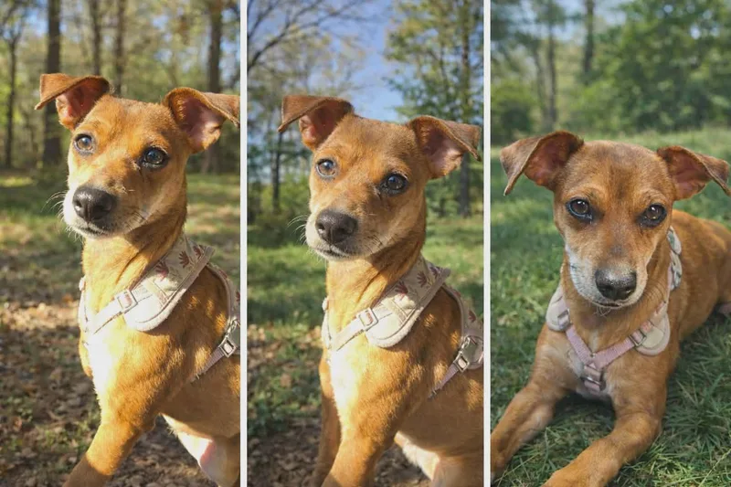 Zena Our Little Princess