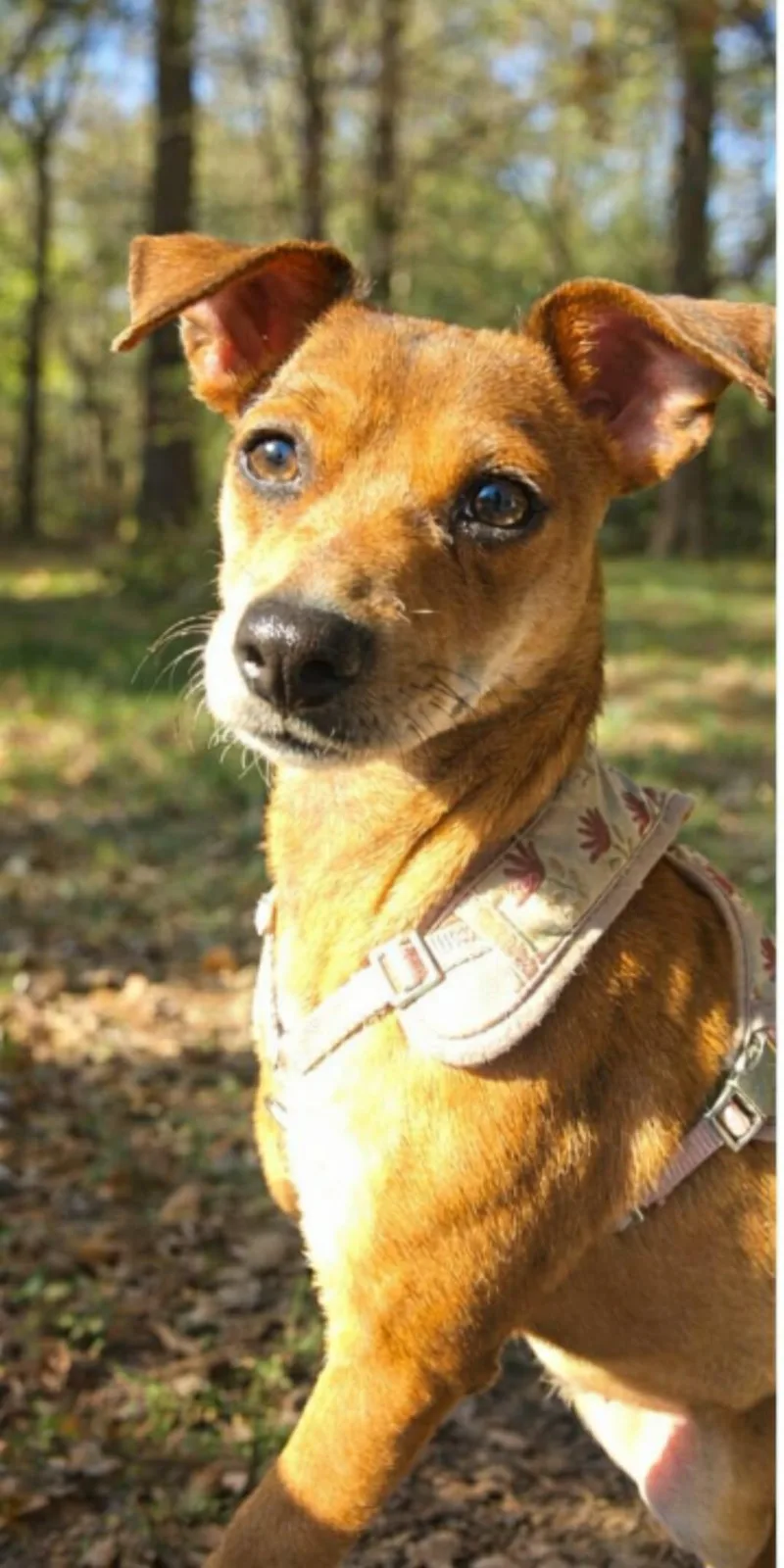 Zena Our Little Princess thumbnail 2