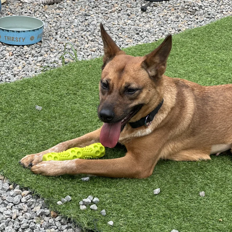 Emma May thumbnail 2