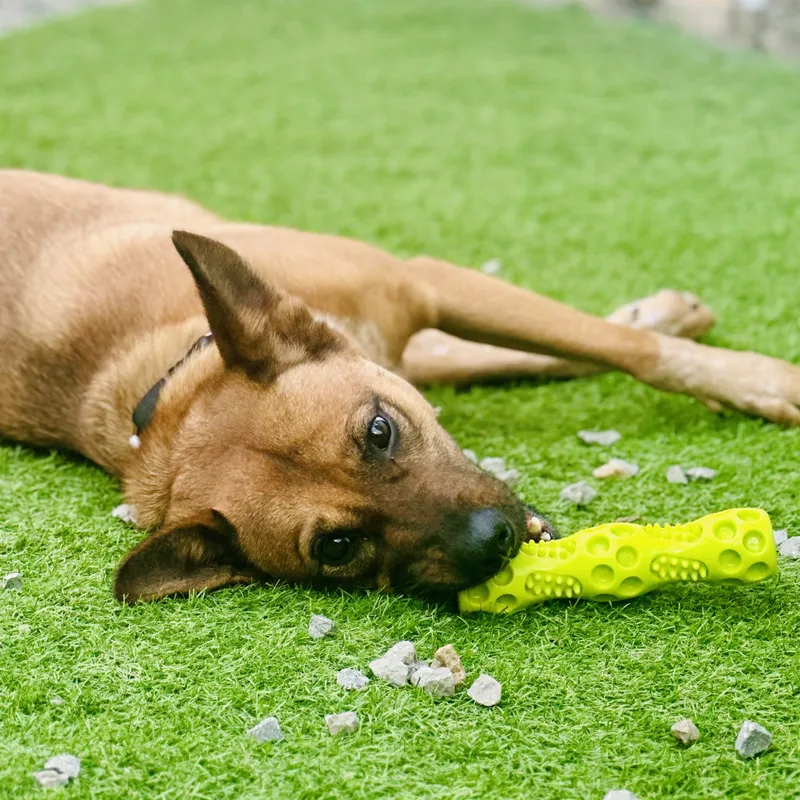 Emma May thumbnail 6