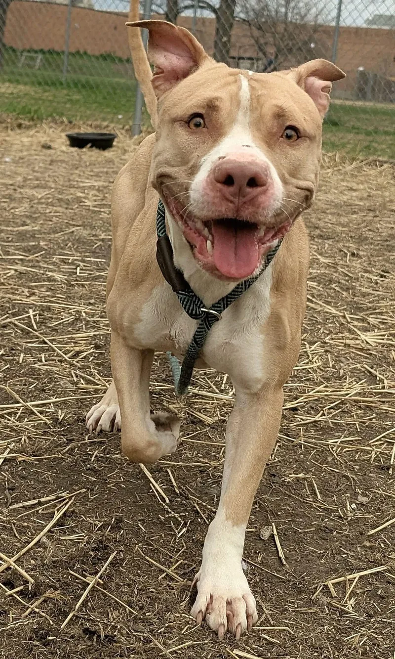 Liandrin thumbnail 2