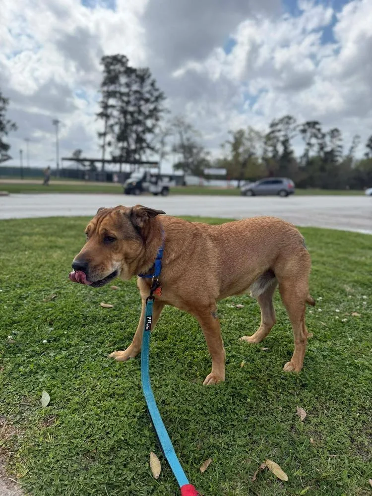 Scout Taylor thumbnail 3