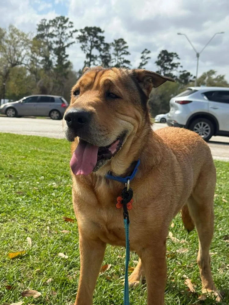 Scout Taylor thumbnail 4