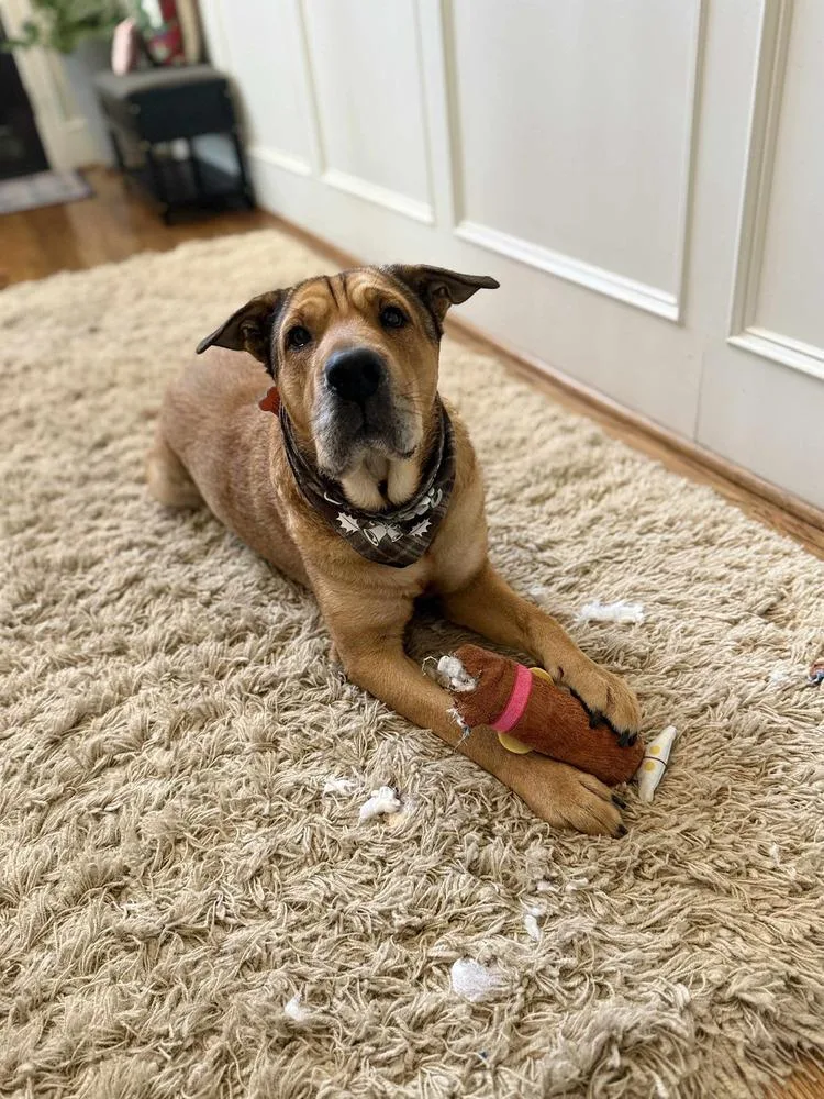 Scout Taylor thumbnail 5