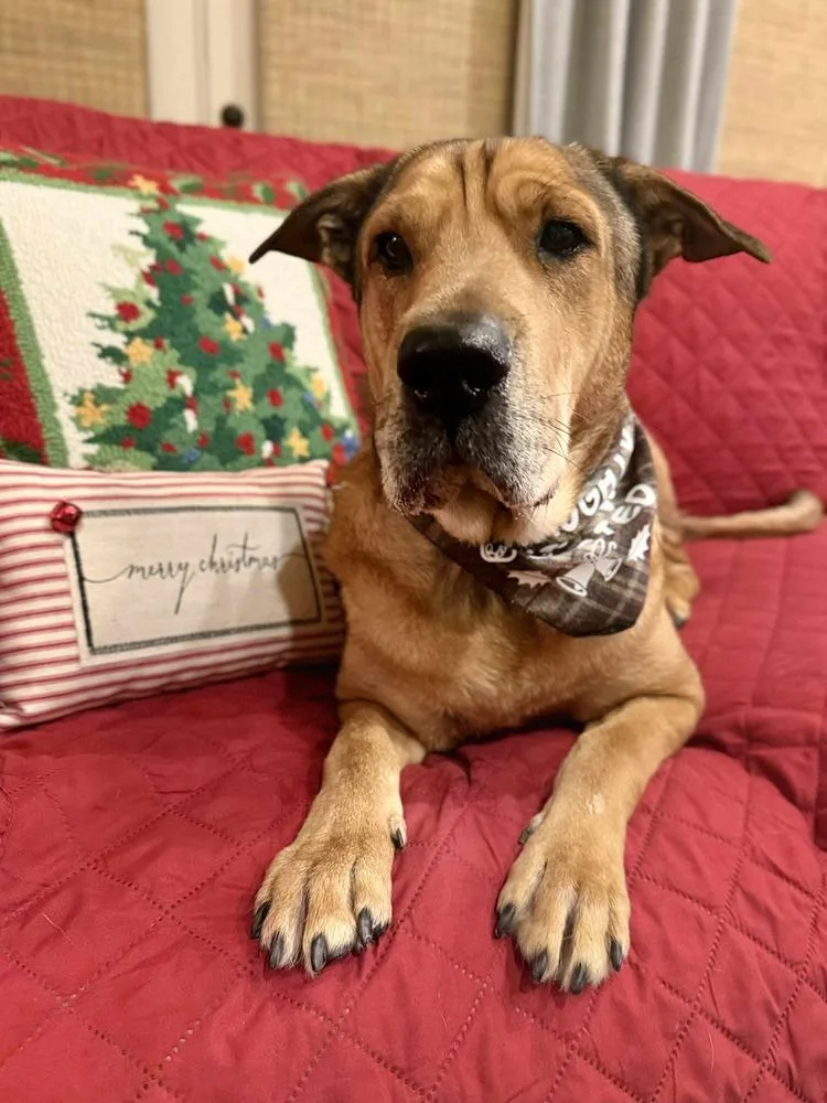 Scout Taylor thumbnail 6