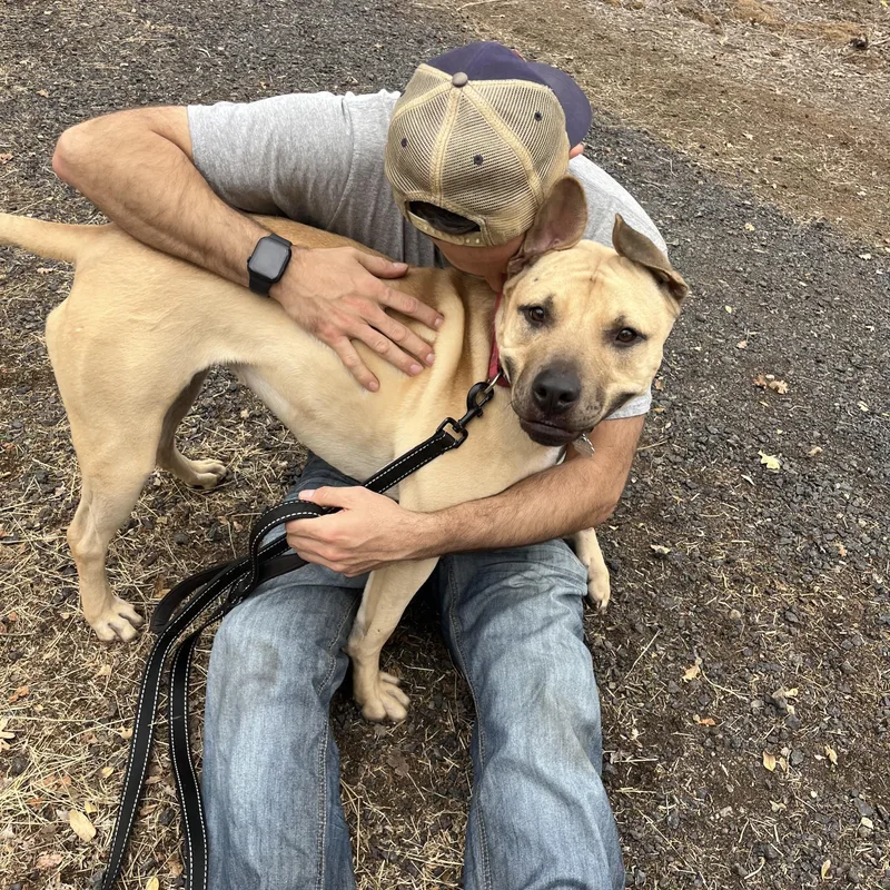 Daffodil thumbnail 3