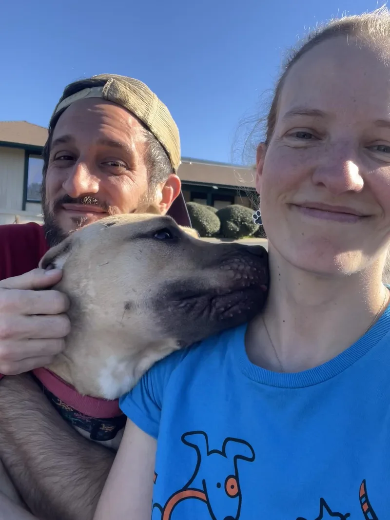 Daffodil thumbnail 4