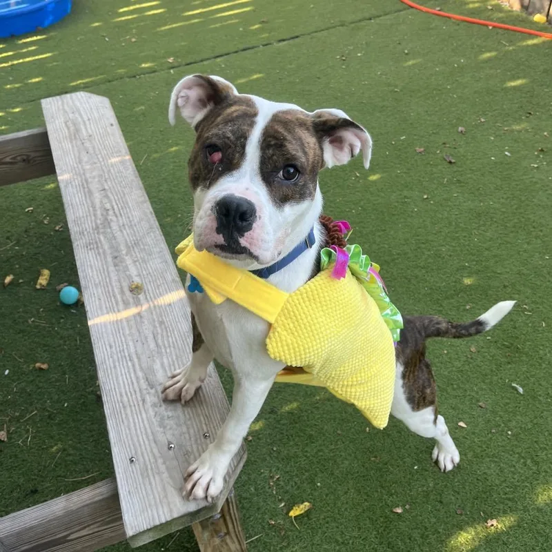 Meryl Streep thumbnail 5