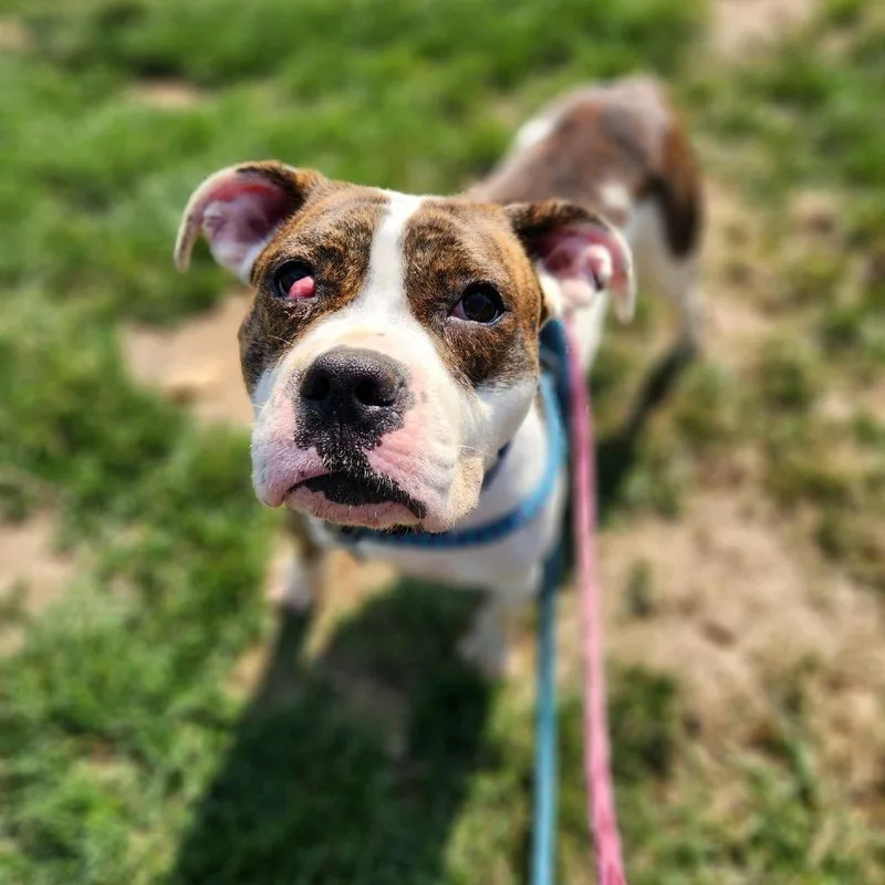 Meryl Streep thumbnail 6