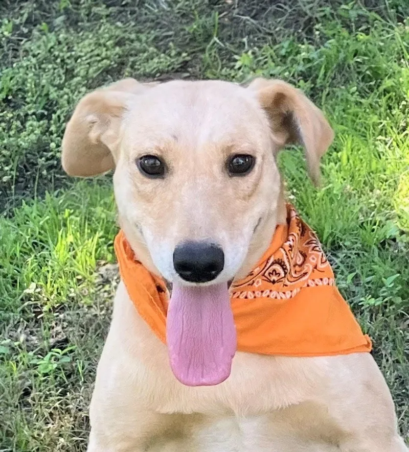 Maggie  In Austin thumbnail 2