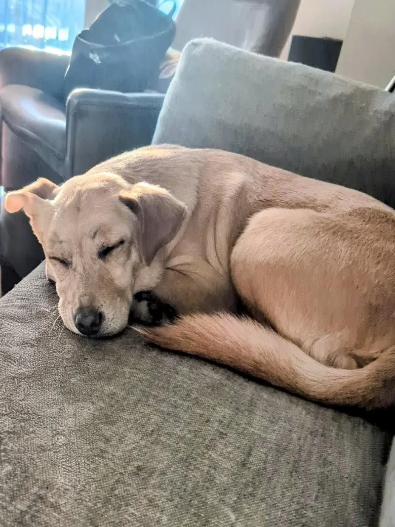 Maggie  In Austin thumbnail 3