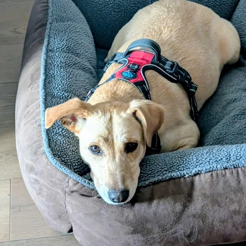 Maggie  In Austin thumbnail 4