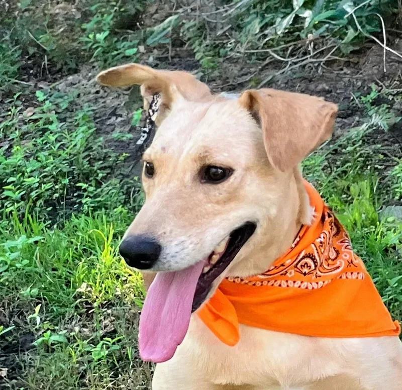 Maggie  In Austin thumbnail 5