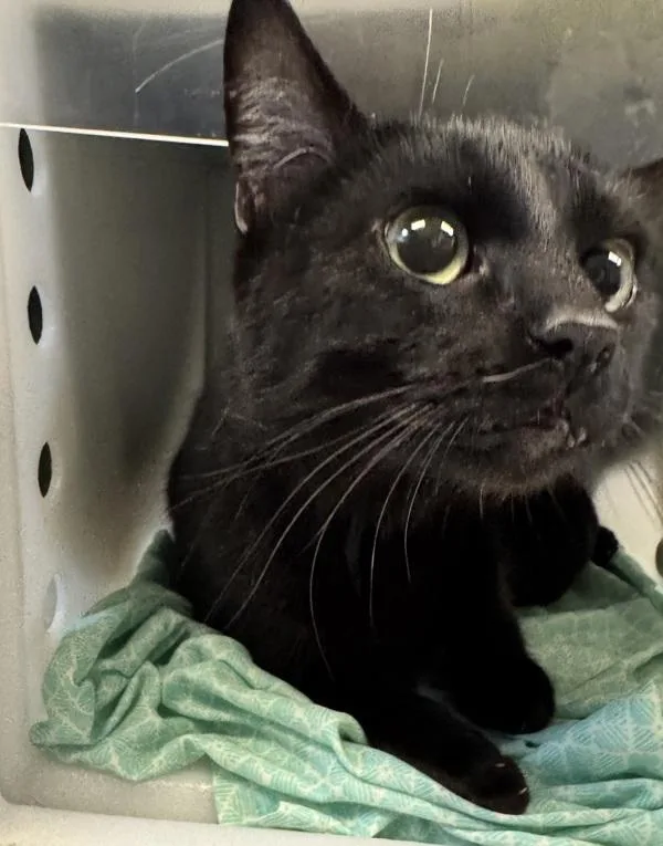 Business thumbnail 2