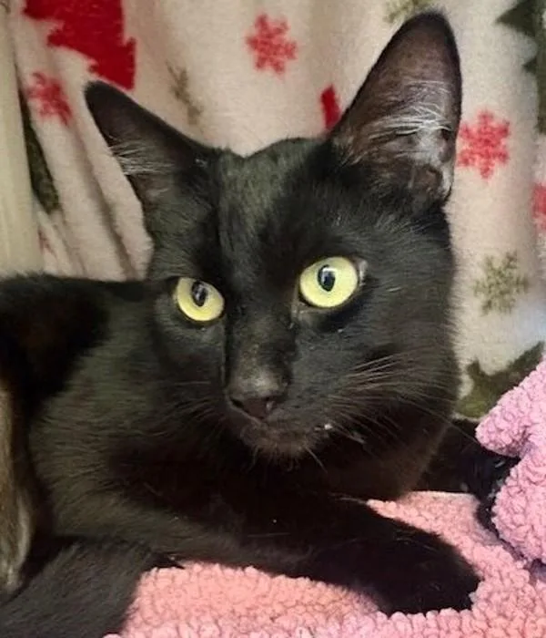 Business thumbnail 3