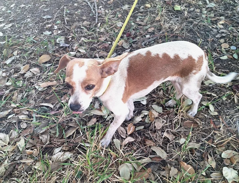 Mishu Slthw thumbnail 3