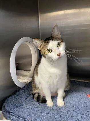 Sunshine thumbnail 3