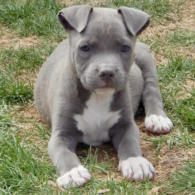 Skittles thumbnail 2