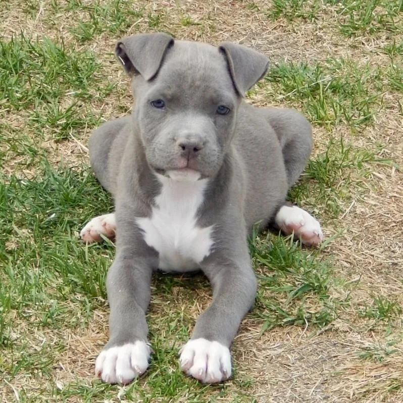 Skittles thumbnail 3