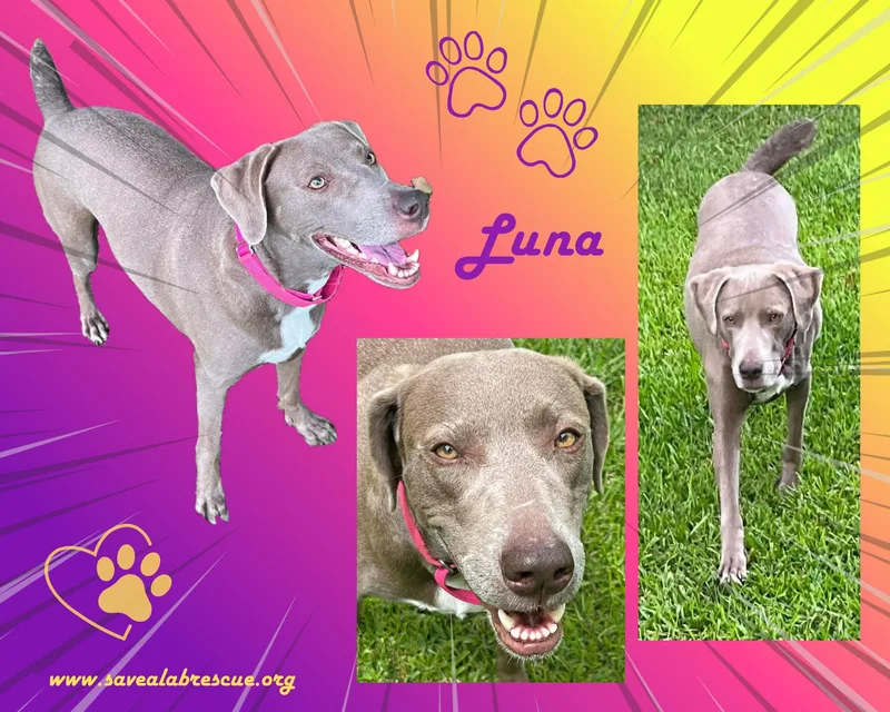 Luna