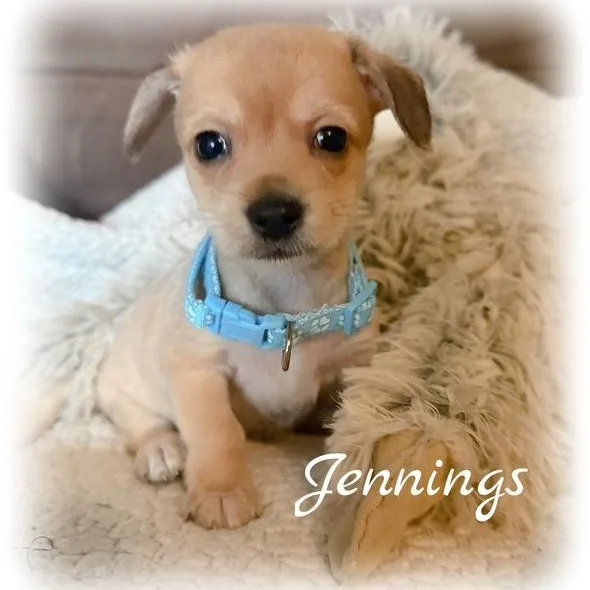 Jennings