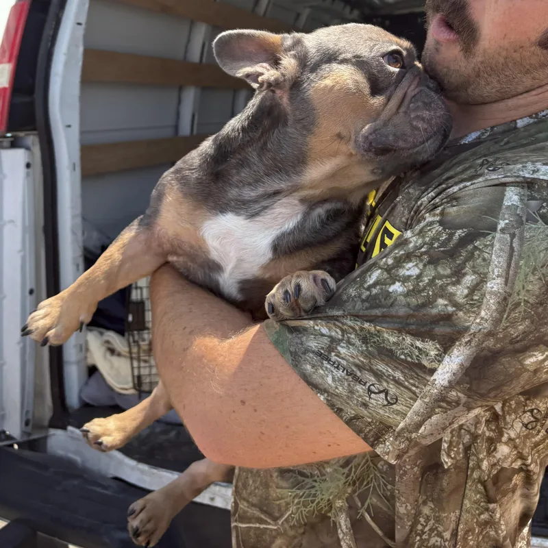 Hammy thumbnail 4