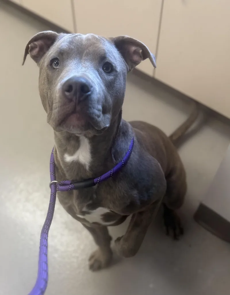 Buckeer Hold thumbnail 2