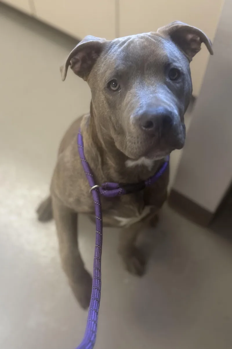 Buckeer Hold thumbnail 3