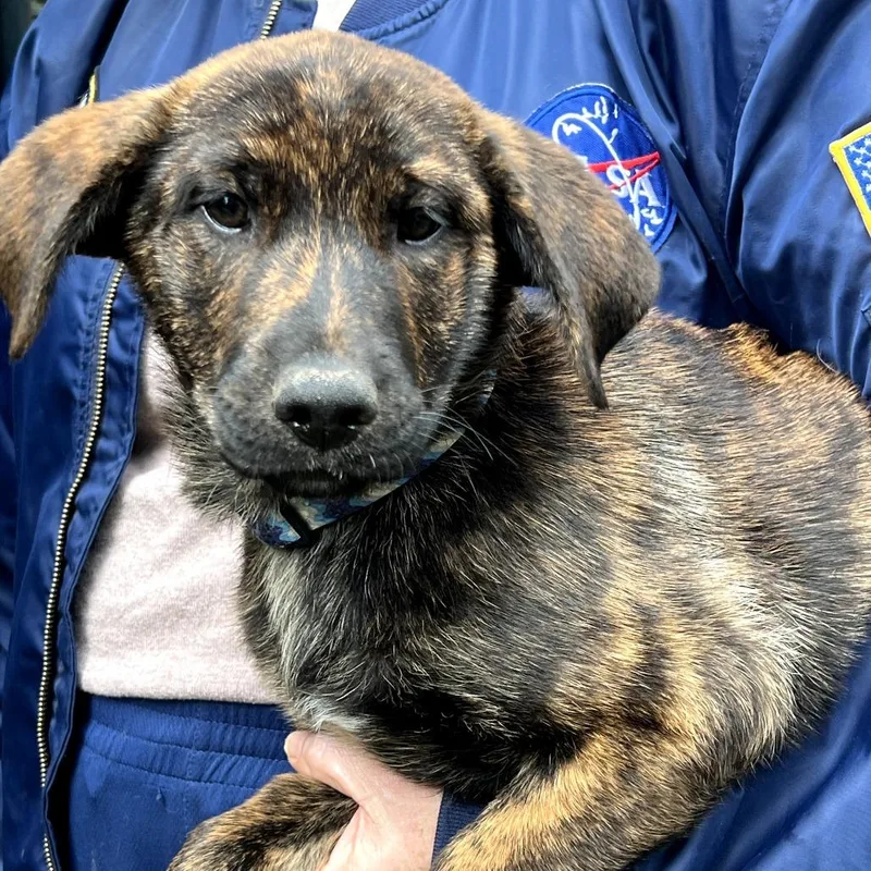 Ginger Rae thumbnail 3