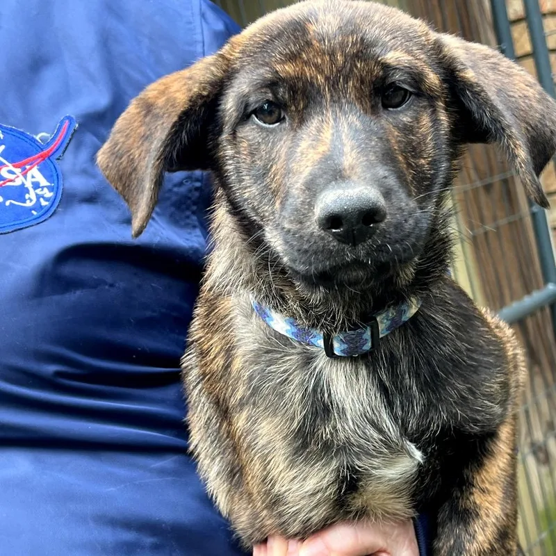 Ginger Rae thumbnail 5