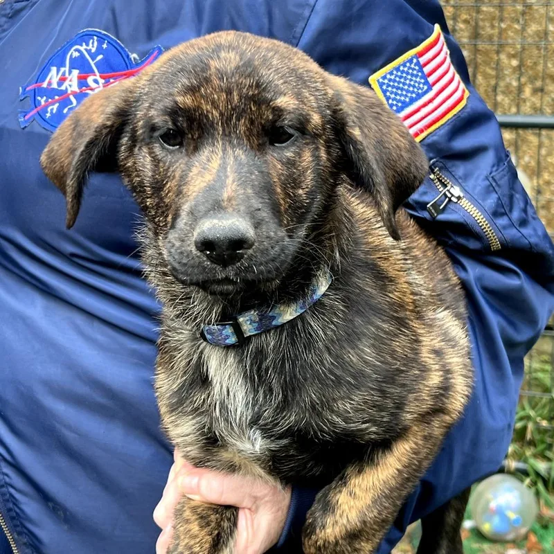 Ginger Rae thumbnail 6