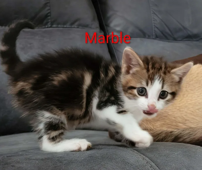 Marble
