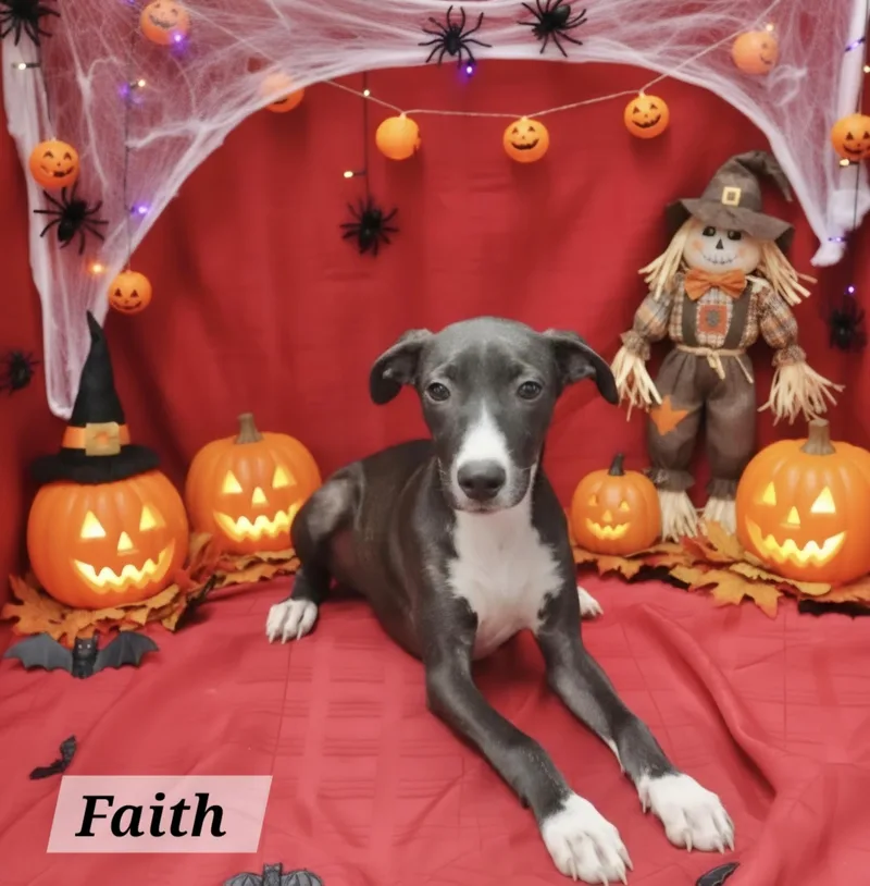 Faith thumbnail 2