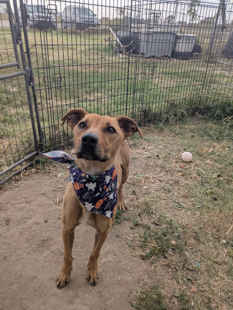 Skittles thumbnail 2