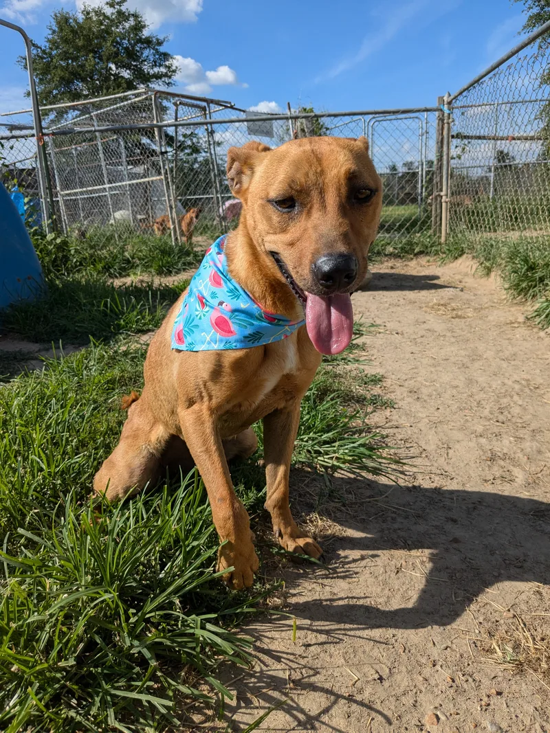 Skittles thumbnail 3