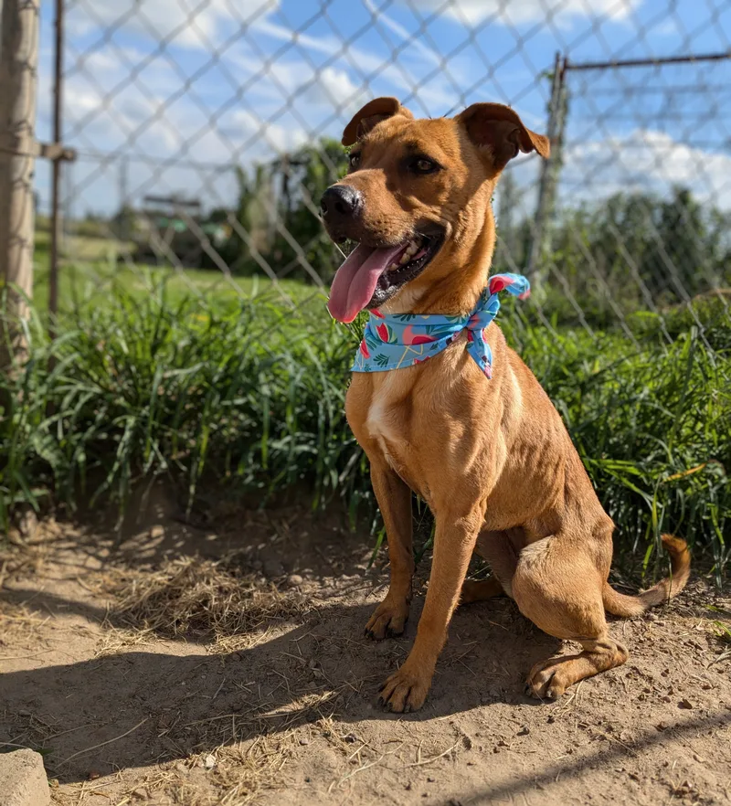 Skittles thumbnail 4