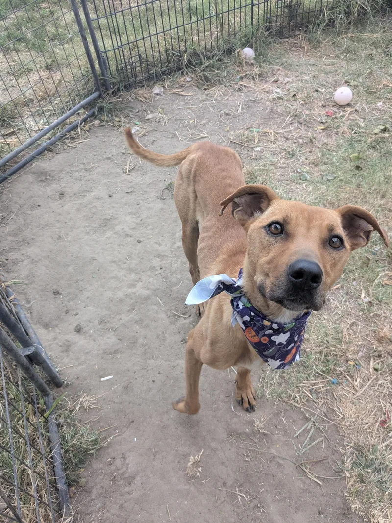 Skittles thumbnail 6