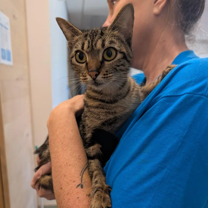 Gwencity Of Industry