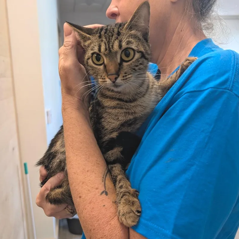 Gwencity Of Industry thumbnail 2