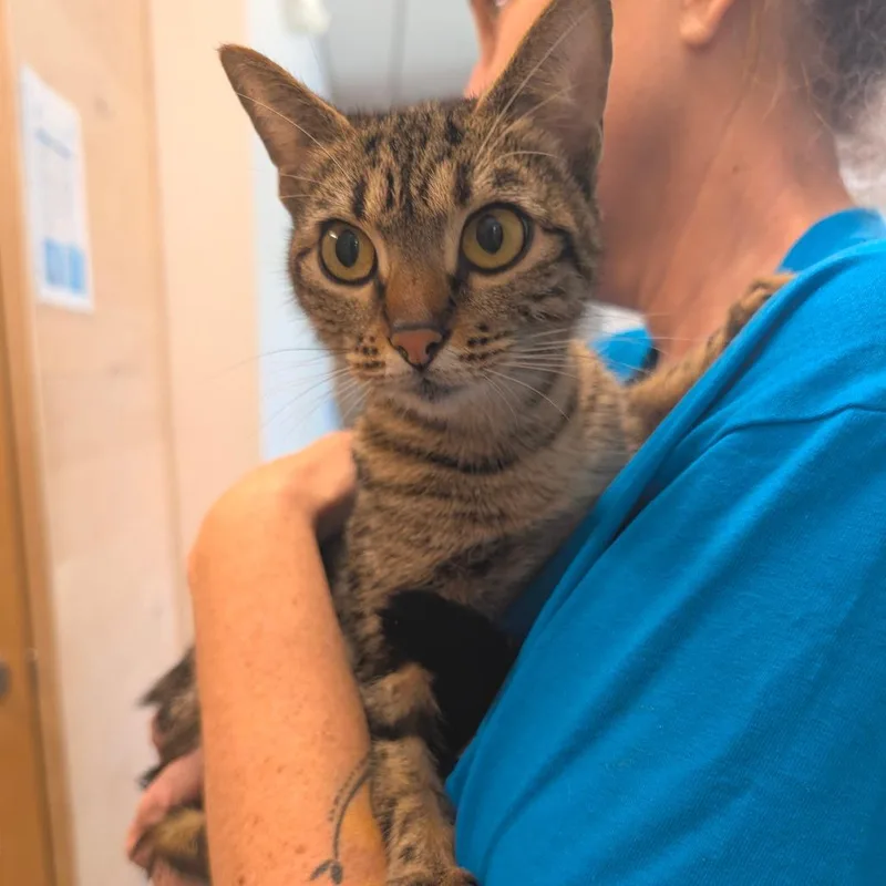 Gwencity Of Industry thumbnail 3