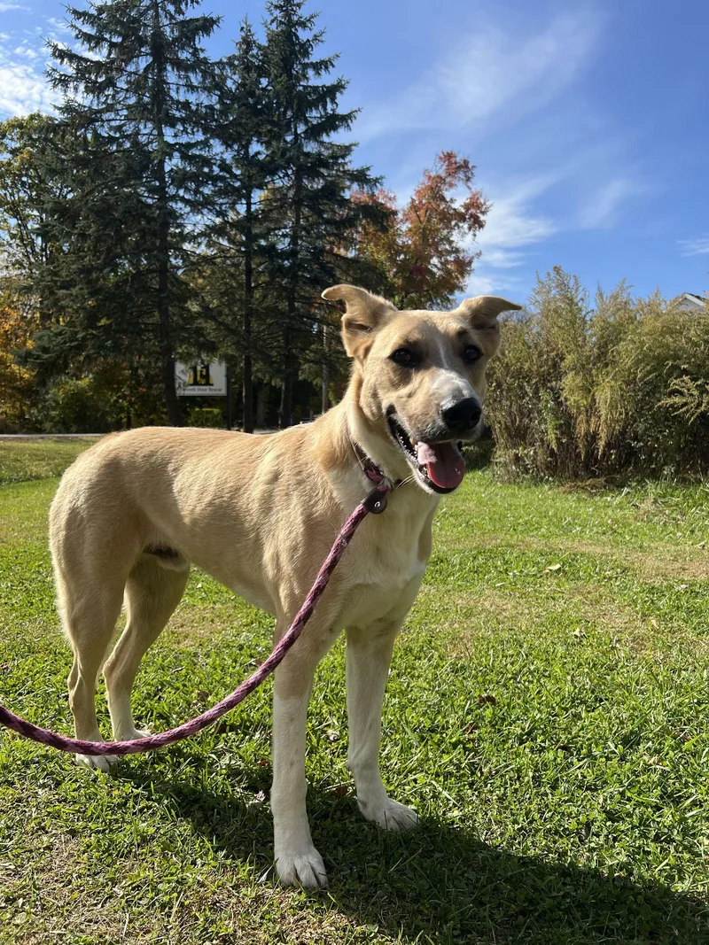 Loki Dixon thumbnail 2