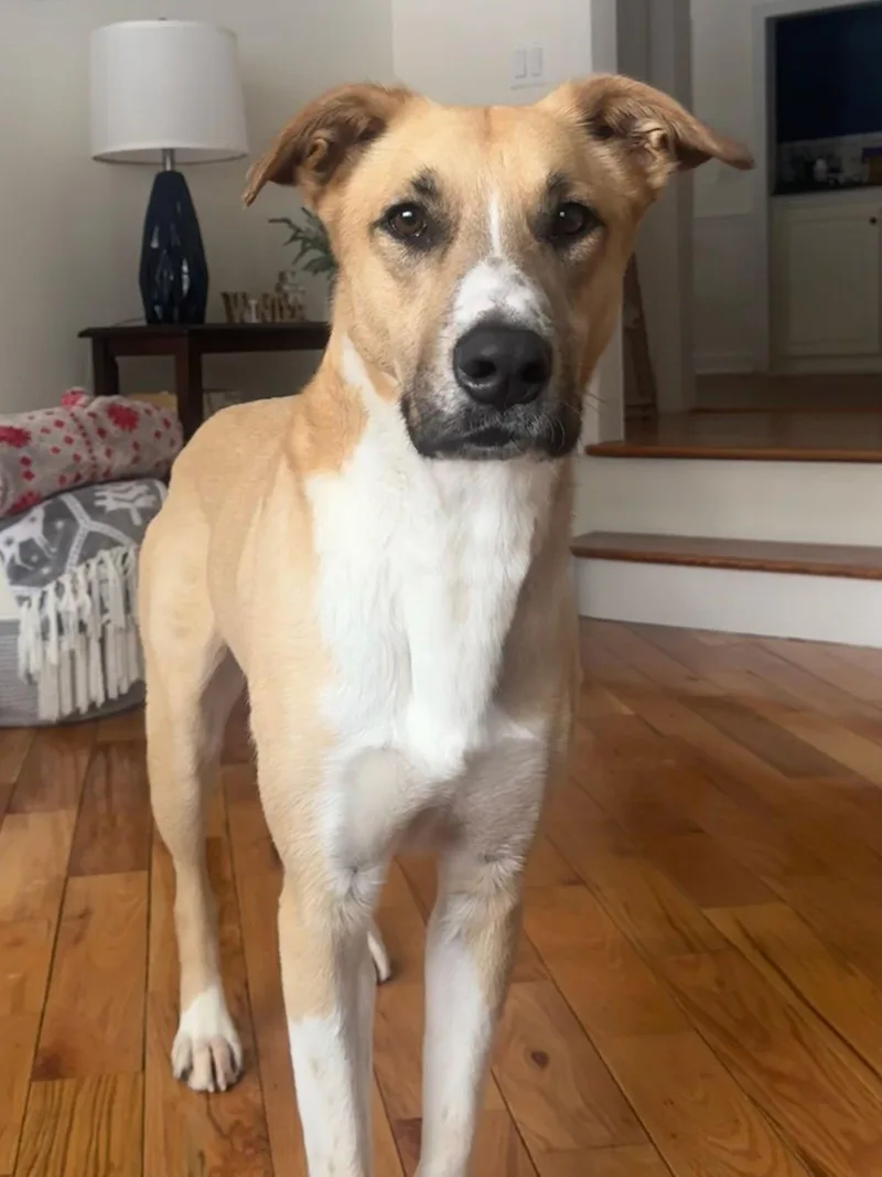 Loki Dixon thumbnail 3