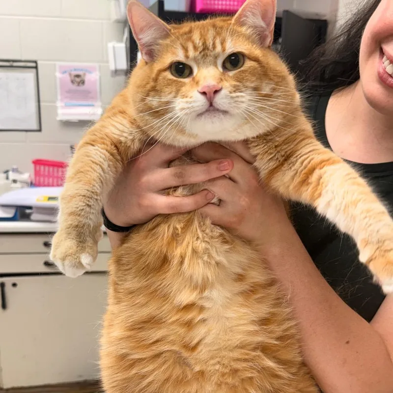 Theodore