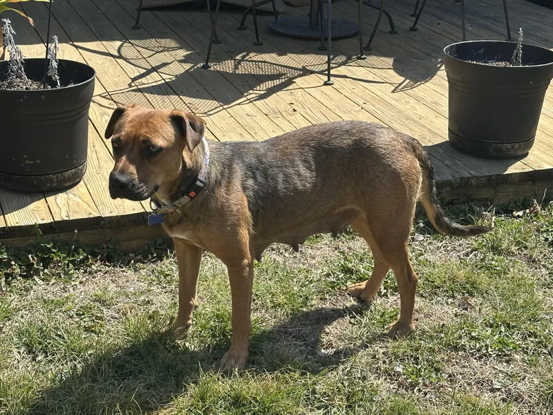 Snowflake thumbnail 3