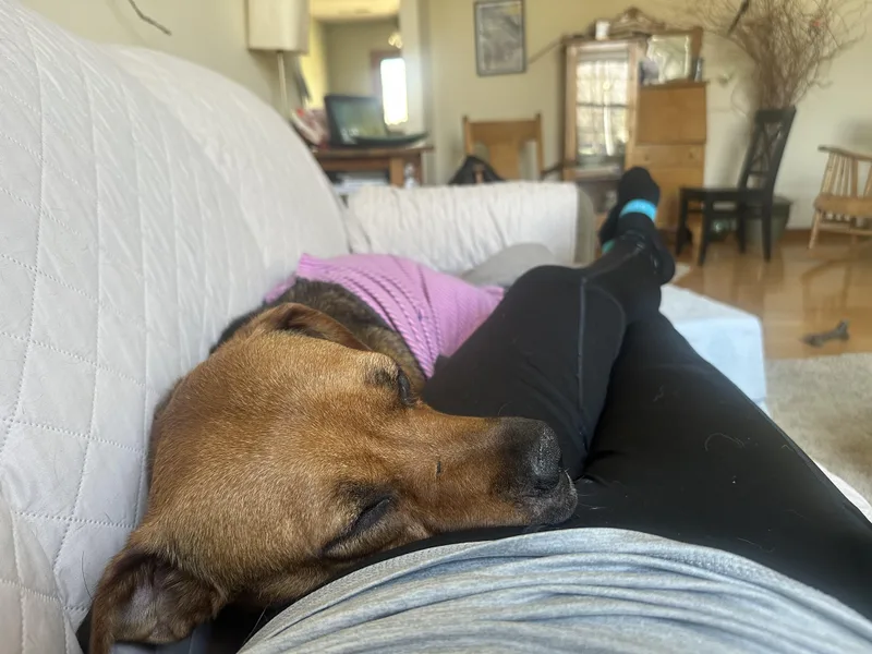 Snowflake thumbnail 4