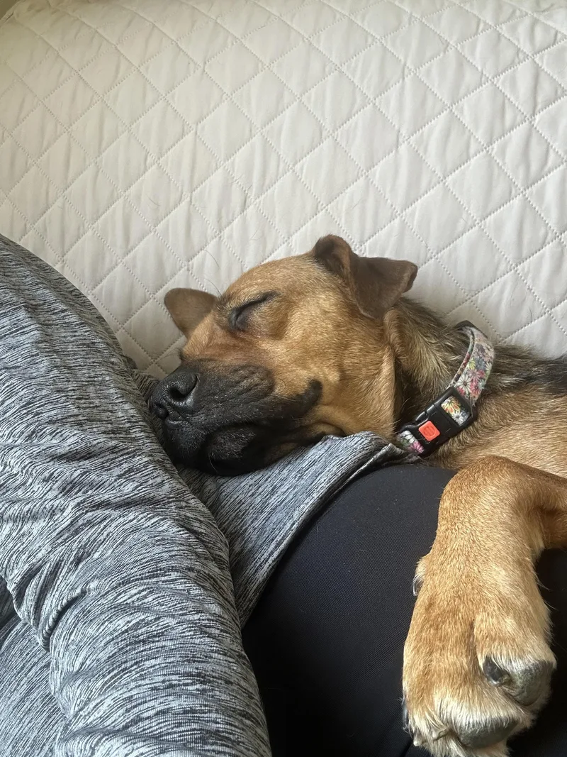 Snowflake thumbnail 5