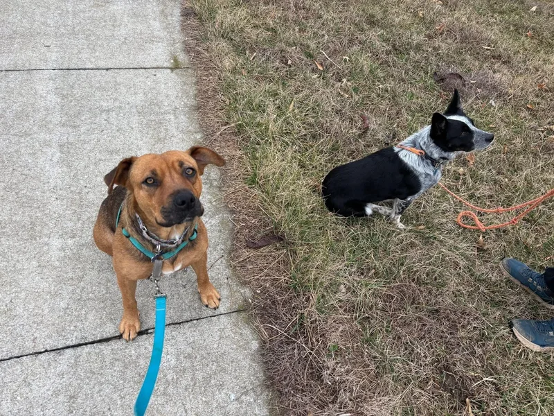 Snowflake thumbnail 6